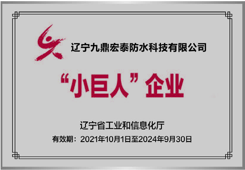 遼寧省小巨人企業(yè)